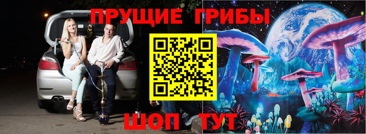 Галлюциногенные грибы Psilocybine cubensis  Вход с VPN  Качканар 