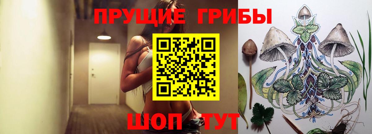 Псилоцибиновые грибы Cubensis Качканар
